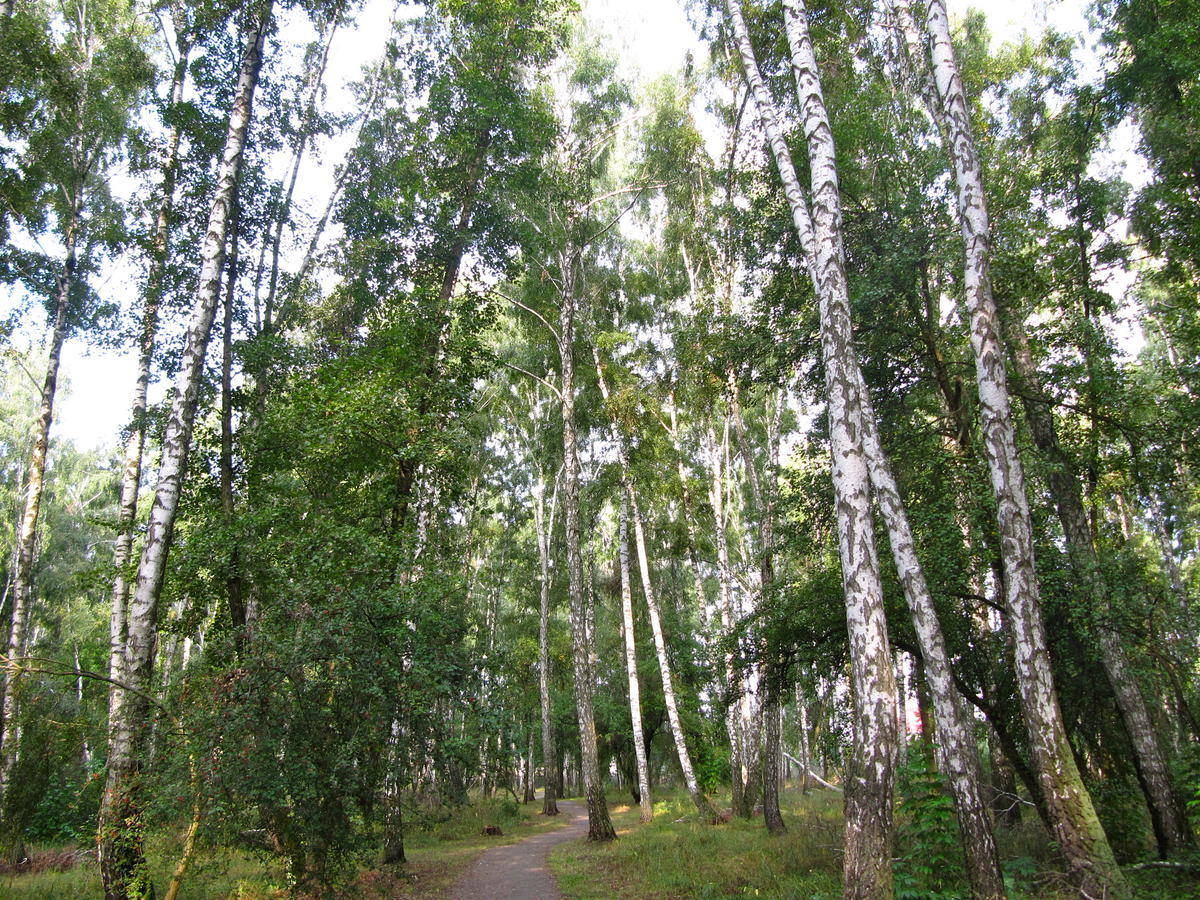 Готель «Северинівка» Exterior foto